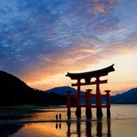 Портфолио dimitatu